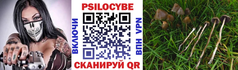 даркнет сайт Кореновск Псилоцибиновые грибы ЛСД